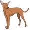 Signmission Cirneco Delletna Dog Decal, Dog Lover Decor Vinyl Sticker D-12-Cirneco Delletna - alternate 1